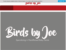 Tablet Screenshot of birdsbyjoe.com